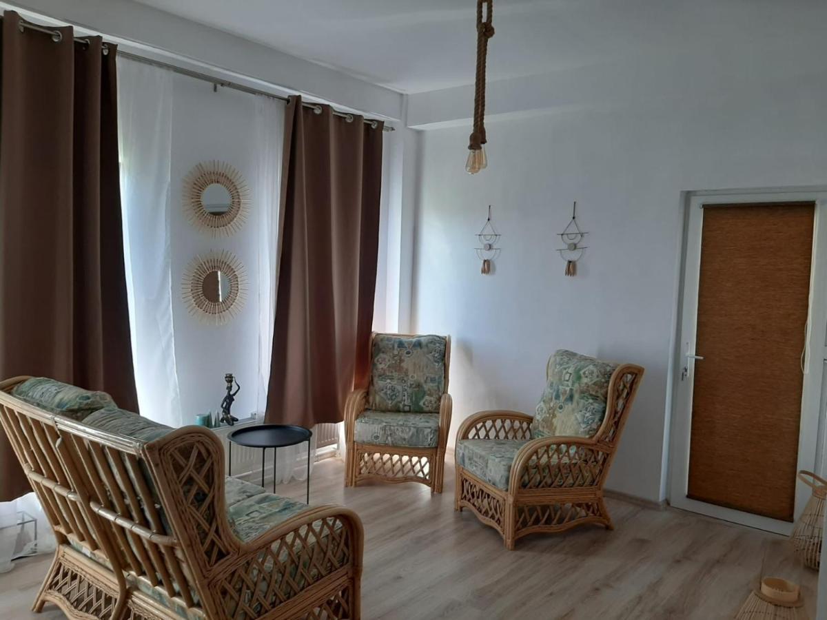 Tina Guest House Basarabi Exterior photo